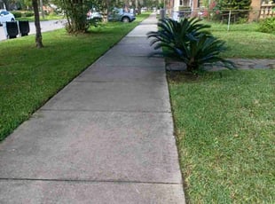 Lindsay P.'s Lawn Mowing Service service result