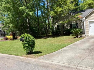 Carla B.'s Lawn Mowing service result