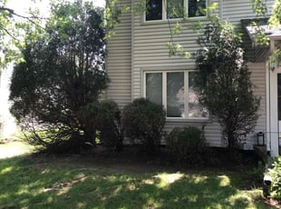 Bush Trimming by Basheer Alam for Carol M. in Apple Valley, MN