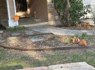 Bush Trimming by Lacy Dixon for Mike G. in Converse, TX