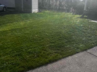 Richard R.'s Lawn Service service result