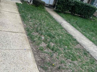 Mulching by Caree Keith for Logan S. in Washington, DC