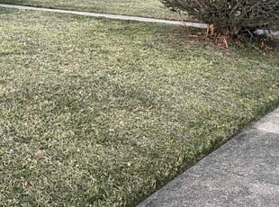 Christopher S.'s Grass Cutting service result