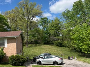 Ashlei B.'s Lawn Service service result