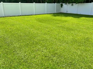 Chris S.'s Yard Cutting service result
