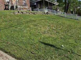 Lisa D.'s Lawn Care service result