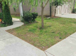 Weeding by Chris Towery for Hyundai K. in Buford, GA