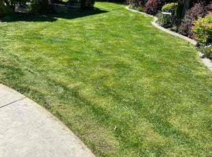 Nick K.'s Lawn Mowing Service service result