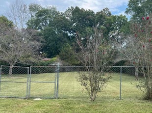 Sheri S.'s Lawn Mowing service result