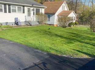 Kathleen B.'s Lawn Maintenance service result