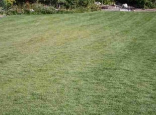 Lori L.'s Lawn Care service result