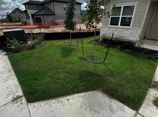 Lesa C.'s Lawn Mowing Service service result