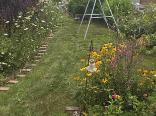 Laurie G.'s Lawn Mowing service result