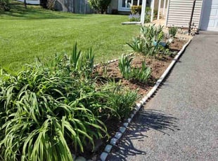 Mandy C.'s Lawn Service service result