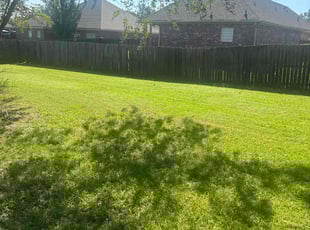 Riley A.'s Lawn Maintenance service result