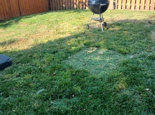 Toby B.'s Cleanups service result