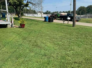 Alida W.'s Lawn Mowing Service service result