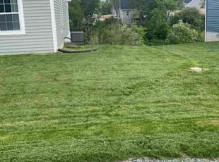 Trina V.'s Lawn Service service result