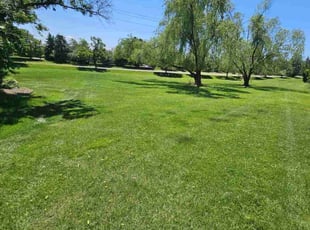 Vincent W.'s Lawn Service service result