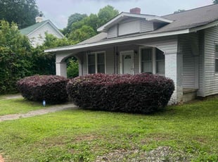 Kevin B.'s Bush Trimming service result