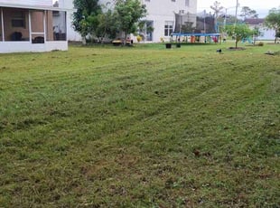 Jennifer L.'s Lawn Care service result