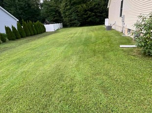 Roxanne T.'s Lawn Care service result