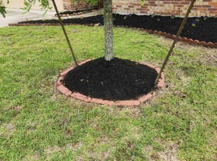 Landscaping by Billy Foster for Yian H. in Fresno, TX