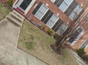 Toni W.'s Flower Bed Weeding service result