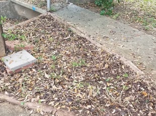 Cleanups by JackieAnn Talley for Elizabeth C. in San Antonio, TX