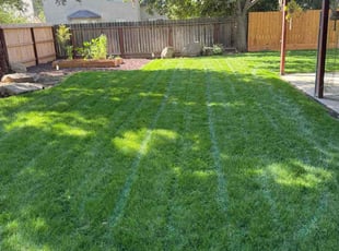 Cathie S.'s Lawn Mowing service result