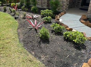 Weeding by Wilson Calderon for E.L. C. in Cypress, TX