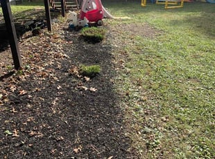 Bush Trimming by B.J. Schuetz for Erin H. in Westerville, OH