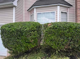 Bush Trimming by Armando J for Reginald G. in Lithonia, GA