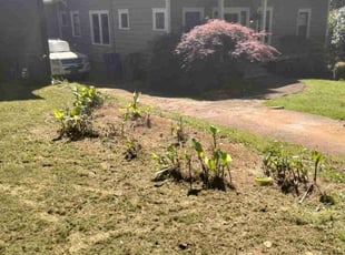 Karen L.'s Bush Trimming service result