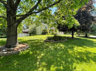 David B.'s Lawn Care service result