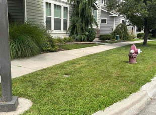 Bush Trimming by Christina Mc Donald for Shannon H. in Boise, ID