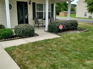 Bush Trimming by William Akers for Carol B. in Charlotte, NC