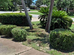 Bush Trimming by John Joens for Karen K. in Navarre, FL