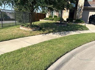 Dejen w.'s Lawn Mowing service result