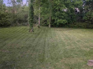 Emily R.'s Lawn Service service result
