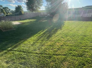Dewitt S.'s Grass Cutting service result