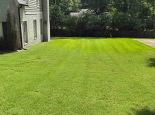 Jason J.'s Lawn Mowing Service service result