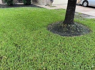 Daniel M.'s Lawn Service service result