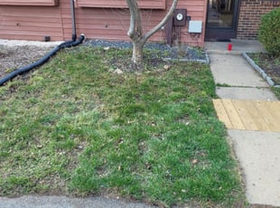 Leaf Removal by Jahad Moody for Leslie B. in Wilmington, DE