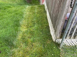 Mary B.'s Lawn Mowing Service service result