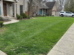 Donald B.'s Lawn Mowing service result