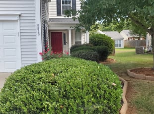Bush Trimming by Christopher Caponi for Marcus S. in Charlotte, NC