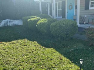 Bush Trimming by Davon Lightfoot for Dr. David B. in Richmond, VA