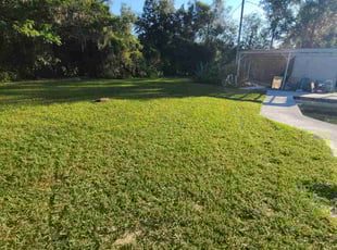 Robert G.'s Lawn Service service result