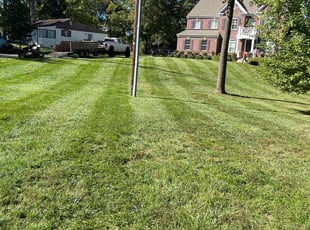 Rhea T.'s Lawn Mowing service result
